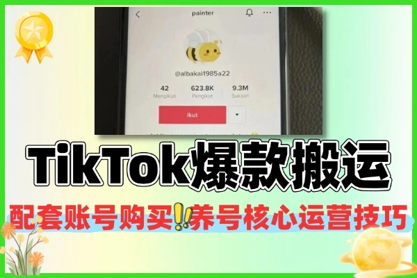 TikTok爆款搬运全攻略：剪辑运营技巧，开启全球流量变现之旅