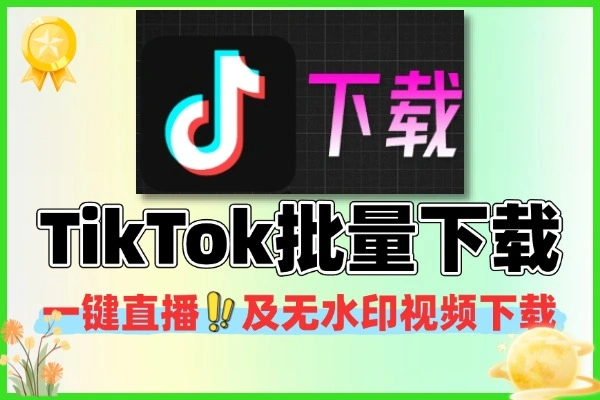 抖音TikTok一键下载器：多功能无水印视频批量下载神器